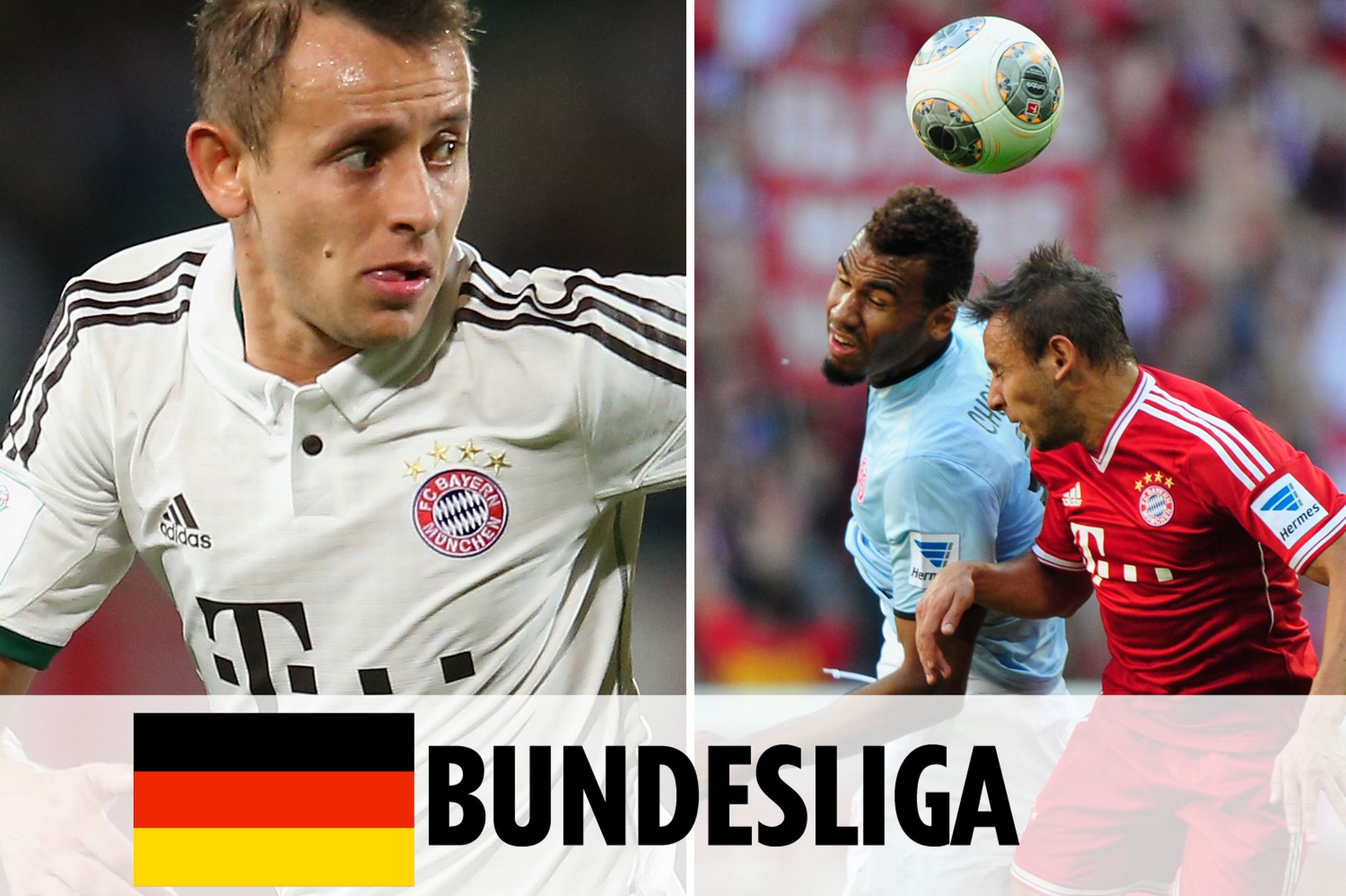 传统优势项 传统优势项