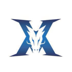 球队的比赛 球队的比赛